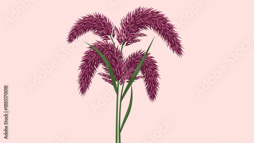 An elegant illustration of a cluster of fluffy purple pampas grass stems with green leaves, set against a soft pink background.