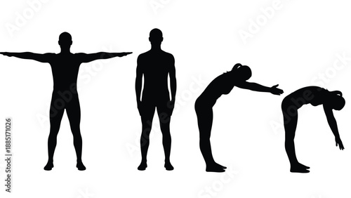 Black silhouettes of a woman dancing in long dress set against white background, expressive feminine graceful poses, artistic, elegant movements.