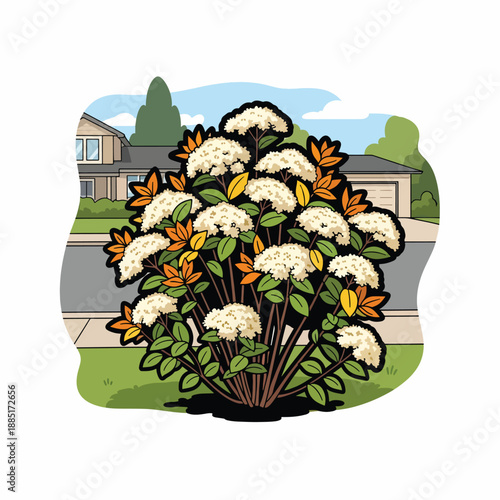 A cartoon bush with white flowers and orange leaves on a suburban street