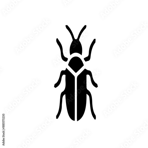 Insect Illustration