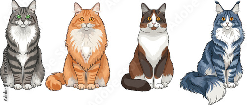 Realistic Cat Breed Vector Icon Set Featuring Long Haired Maine Coon Norwegian Forest and Tabby Cats for Pet Care Veterinary Services and Feline Lovers Graphics