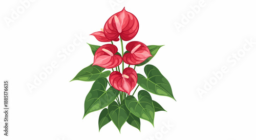 Vibrant red anthurium flower blossom cluster with lush green leaves, a stunning tropical plant illustration for floral beauty and nature-inspired designs
