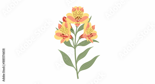 Vibrant yellow and orange alstroemeria flowers, often called Peruvian lilies, symbolizing friendship and devotion, depicted in a charming illustration on a white background, perfect for floral designs