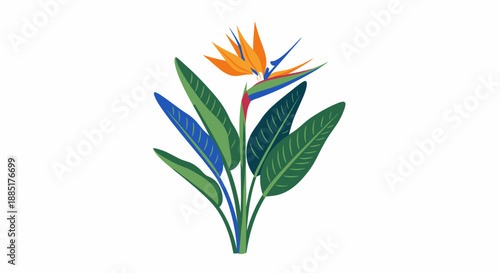 Vibrant Bird of Paradise flower illustration with lush green leaves, a tropical botanical artwork