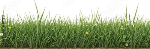 Lush vibrant green grass border with small wildflowers growing atop a thin strip of brown soil isolated on white background