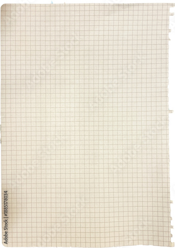 Ripped Grid Paper high quality isolated