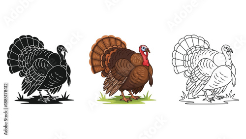 Set of three male turkey illustrations with fanned tail feathers in color, silhouette, and outline styles