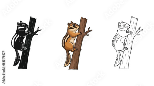 Set of three chipmunk illustrations climbing on a tree branch in silhouette, color, and outline styles
