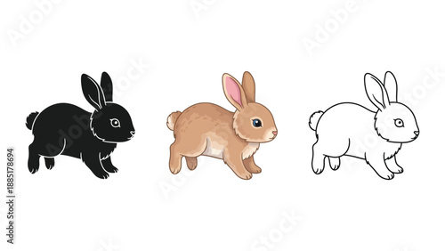 Set of three rabbit illustrations in black silhouette, color, and line art styles