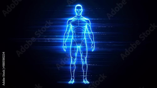 Blue digital human body model with glowing structure