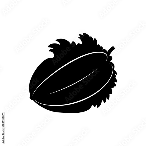Black Silhouette of a Nutmeg Seed