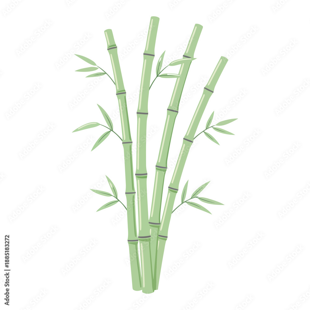 Obraz premium Bamboo Stalks Flat Design Vector Illustration
