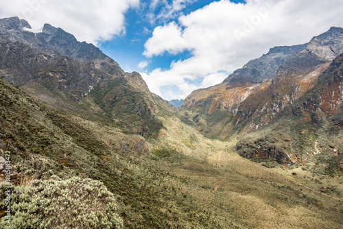 High-altitude valley in Rwenzori Mountains, Uganda