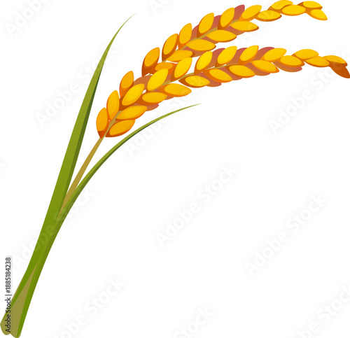 Cartoon rice ear China culinary icon or symbol. Chinese culinary attribute, Asian agriculture isolated rice ear food cartoon vector item. China cuisine icon or Asia culture symbol