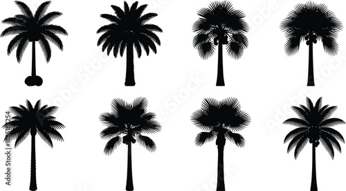 Eight distinct black silhouette palm trees with varied frond shapes and trunk styles, offering a rich selection for tropical design elements.