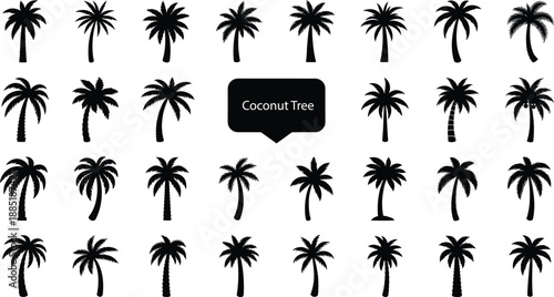 Abundant array of 32 black silhouette palm trees, offering a rich variety of shapes and sizes for creating vibrant tropical landscapes and themes.