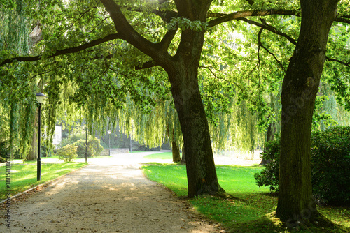 View of park with alley, gr...