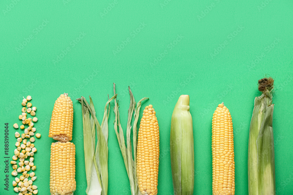 Obraz premium Fresh corn cobs and kernels on green background