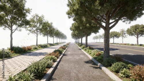 Perspective of a wide pedestrian walkway and asphalt road separated by a green belt featuring tall pine trees and ornamental garden plants.