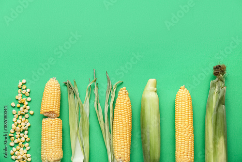 Fresh corn cobs and kernels on green background © Pixel-Shot