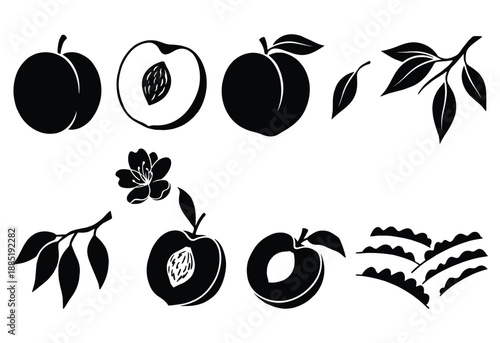 Peach fruit silhouettes including whole fruits halves leaves and blossoms for botanical illustrations