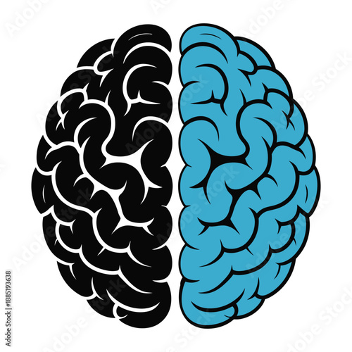 Duality of the brain