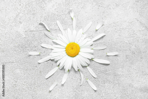 Composition with beautiful ...