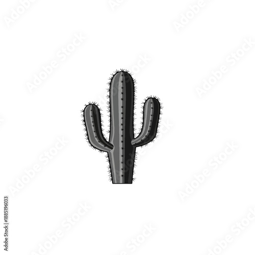 Arid Landscape Cactus