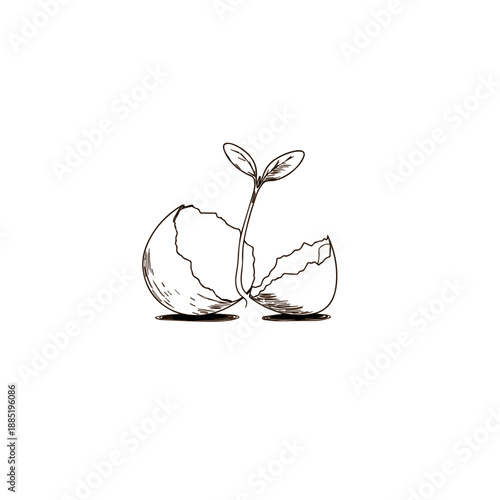 New beginnings concept