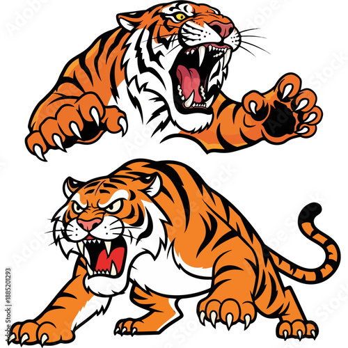 Ferocious mascot illustrations of two aggressive tigers roaring showing sharp claws and bared teeth ready for a fight