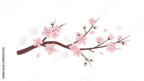 Delicate Pink Cherry Blossoms on a Branch in Spring