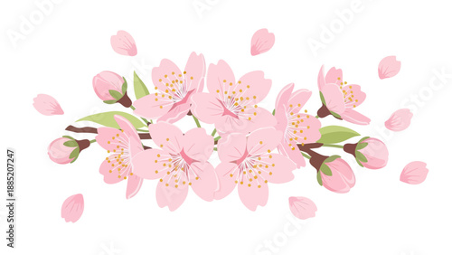 Delicate Pink Cherry Blossoms Spring Flowers with Falling Petals