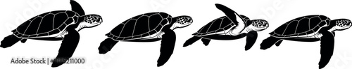 Black and white sea turtle swimming sequence illustration with four stages of flipper movement for animation frames or nature design.