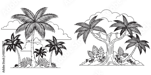 Tropical island palm trees and lush jungle foliage sketches