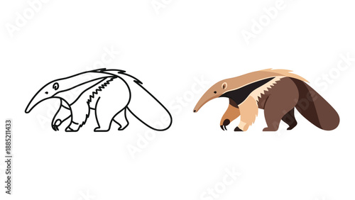 Vector illustration set displaying both a detailed colored giant anteater and a simple black and white outline version ready for coloring activities.