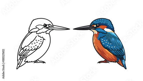 Comparison between a detailed colorful illustration and a simple black and white outline drawing of a beautiful kingfisher bird side view.