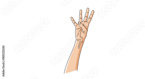 Human hand showing four fingers raised while the thumb is tucked against the palm, isolated on a white background for clear communication.