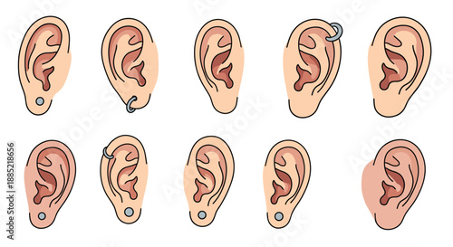 A collection of illustrated human ears showing various types of piercings including lobe piercings and helix rings in a cartoon style.