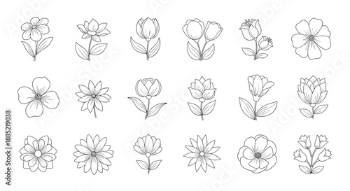 Collection of beautiful hand-drawn flowers created with a delicate stippling or dotwork effect for an elegant botanical design.