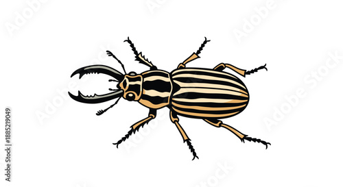 Detailed illustration of a stag beetle with black and yellow striped wing covers showcasing its powerful mandibles and spiky legs.