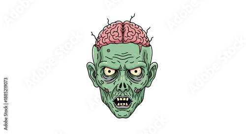 Gruesome cartoon illustration of a green zombie head with an exposed brain and decaying flesh perfect for Halloween monster themes.