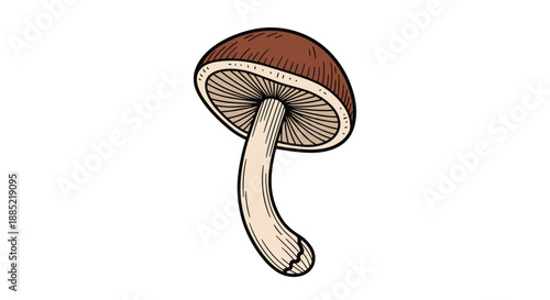 Simple and elegant hand-drawn illustration of a single wild brown mushroom with visible gills isolated on a white background.