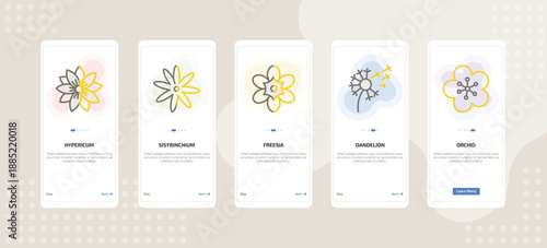 onboarding screen template for nature mobile app ui with hypericum, sisyrinchium, freesia, dandelion, orchid icons.