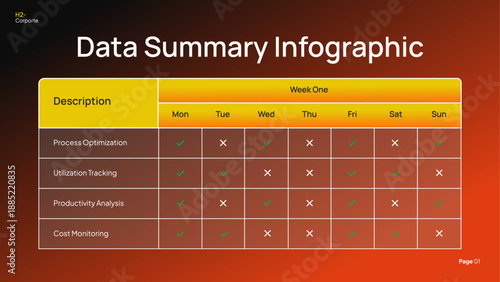 Data Summary Infographic