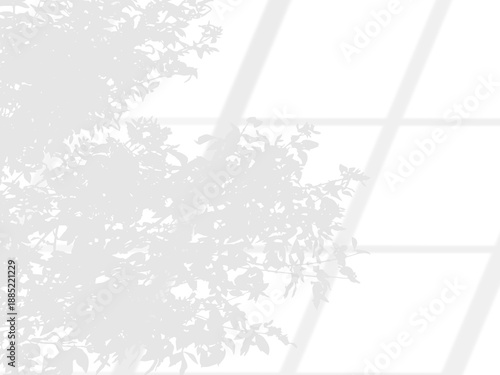 Shadow overlaying of tree branches leaf and window on wall, summer abstract sunlight