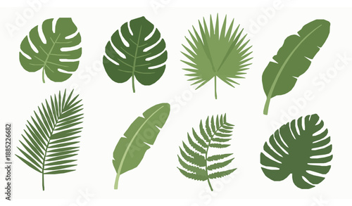 Tropical leaves and exotic plant vector elements set on white background