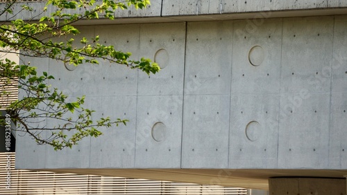 Beautiful cast in place exposed concrete building wall in natural setting