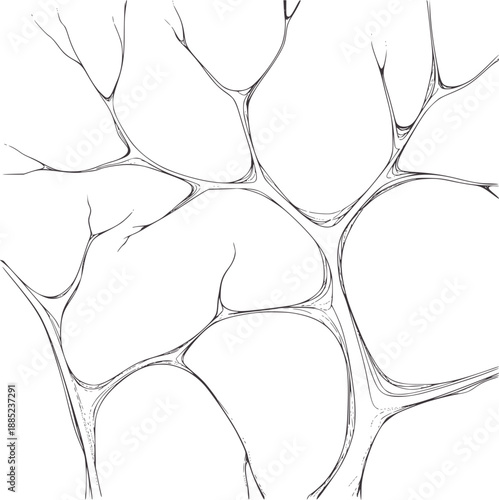 Abstract branching network pattern in black and line organic