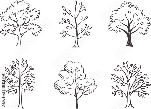 Six minimalist of varied trees in dark grey nature