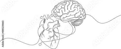 Continuous line drawing illustrates the interconnectedness of the human heart and brain symbolizing emotional and logical connection between mind and body